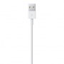 Apple | Male | 4 pin USB Type A | Male | Apple Lightning | 0.5 m - 4